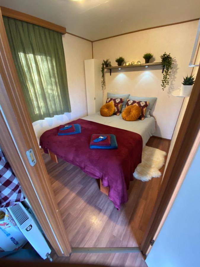 Gezellige Chalet In Bosrijke Omgeving Villa Anloo ภายนอก รูปภาพ